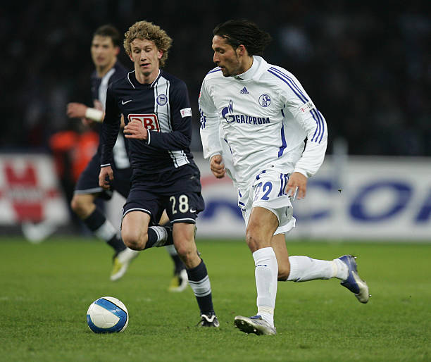 也强调了其 也强调了其