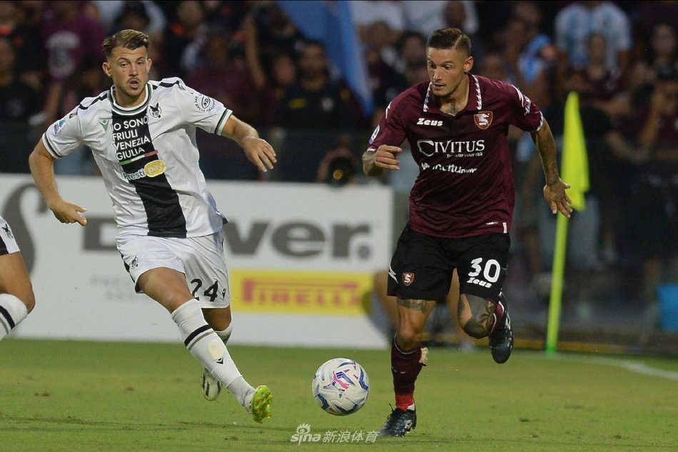 迷和分析师 迷和分析师